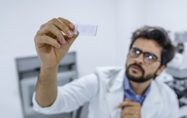 Вчені дізналися про здатність ромашки пригнічувати розвиток синдрому Дауна