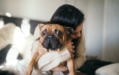 Ученые выяснили, как собаки влияют на иммунитет людей