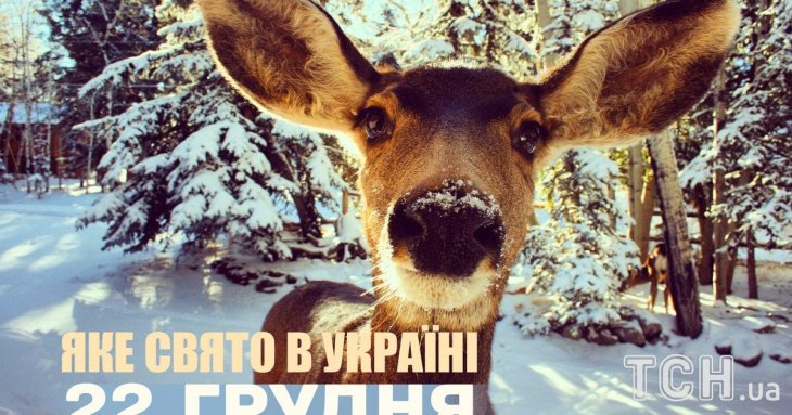 Яке завтра, 22 грудня, свято — все про цей день, яке церковне свято