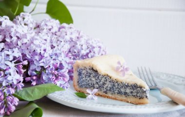 Творожная питайя: быстрый рецепт маковой запеканки