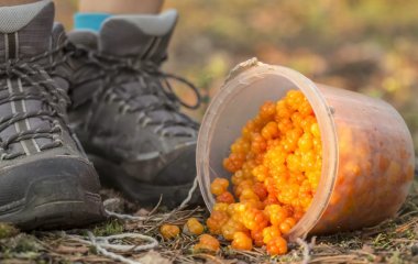 Дієтолог назвала осінні ягоди, які зміцнюють імунітет