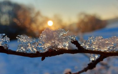 Коли прийде весна: 5 днів у кінці січня, які 
