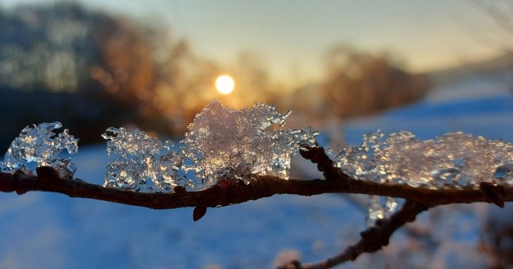 Коли прийде весна: 5 днів у кінці січня, які