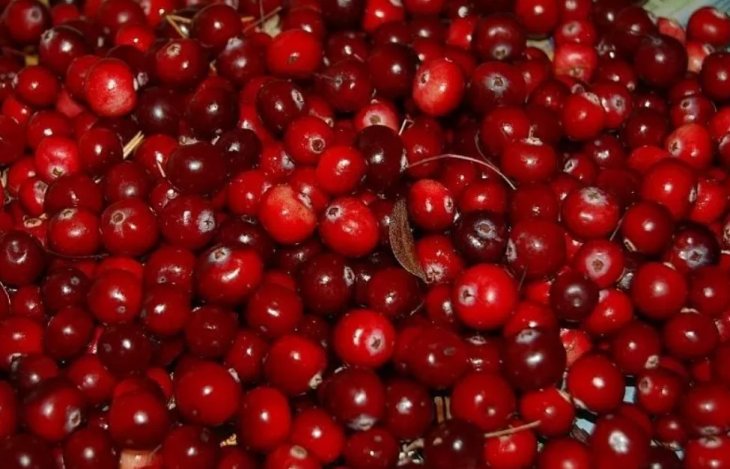 Кардіолог розповів про продукт, який ефективно захищає судини від тромбів.