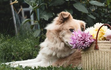 День ангела 28 липня: кого та як вітати з іменинами