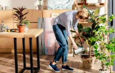 8 комнатных растений, которые спасут от депрессии