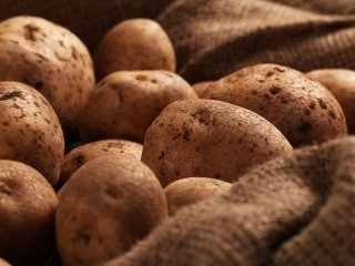 З яким продуктом не можна зберігати картоплю, щоб не зіпсувався швидше