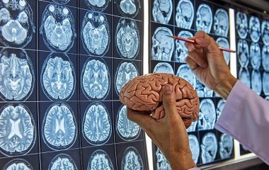 Вчені назвали простий спосіб покращити пам'ять