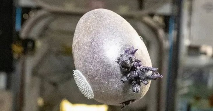 Жахливий об’єкт зі щупальцями: фото астронавта NASA налякало Мережу
