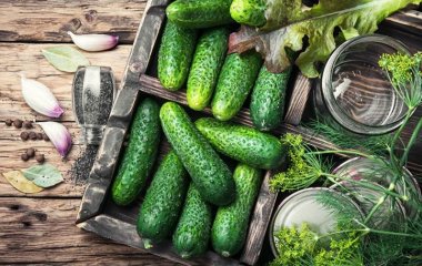 Утонченный вкус и пикантность: как готовить огурцы на зиму с горчицей и чесноком