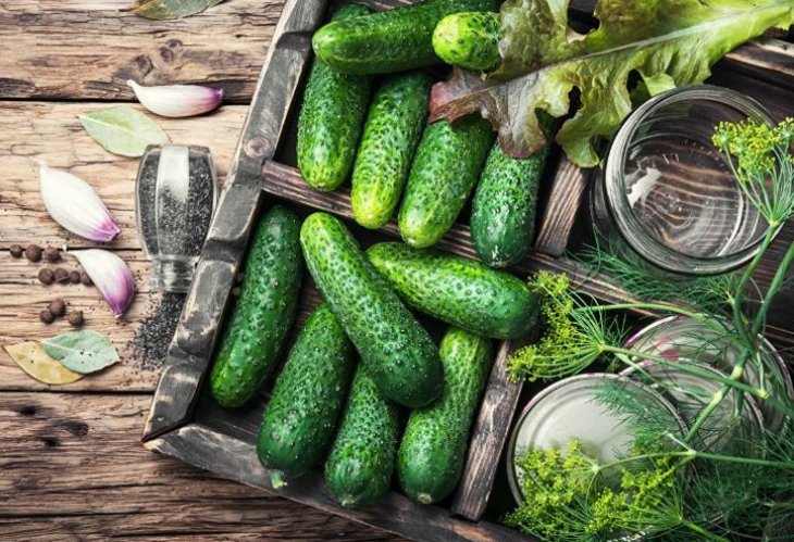 Утонченный вкус и пикантность: как готовить огурцы на зиму с горчицей и чесноком