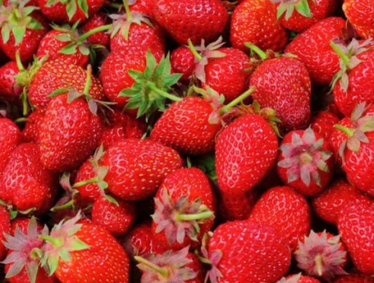 Названа популярная ягода для снижения сахара в крови