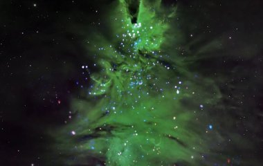 “Різдвяна ялинка” із молодих зірок: приголомшливе зображення NASA