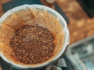 Чи ефективна кавова гуща проти мурах: перевіряємо домашній спосіб боротьби зі шкідниками