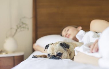 Психологи рассказали, как быть бодрым с самого утра