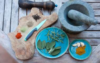 Чеснок: польза и вред для здоровья