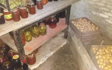 Як захистити запаси в погребі від мишей