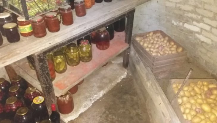 Як захистити запаси в погребі від мишей