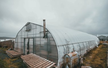 Закривати чи ні: головна помилка садівників у підготовці теплиці до зими