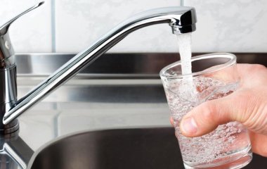 Дієтолог назвала головний продукт для мозку