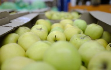 Названо ідеальні продукти для очищення легень від шкідливого слизу