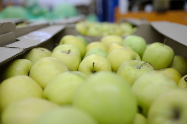Названо ідеальні продукти для очищення легень від шкідливого слизу
