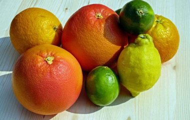 Медики назвали три продукта для быстрого избавления организма от токсинов