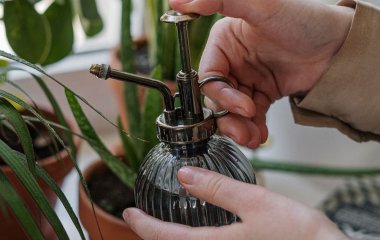 От прыщей и мозолей: 6 необычных применений перекиси водорода