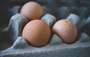 Куриные яйца не несут угрозы для организма человека - учёные