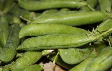 Дієтолог назвала продукт для боротьби зі стресом