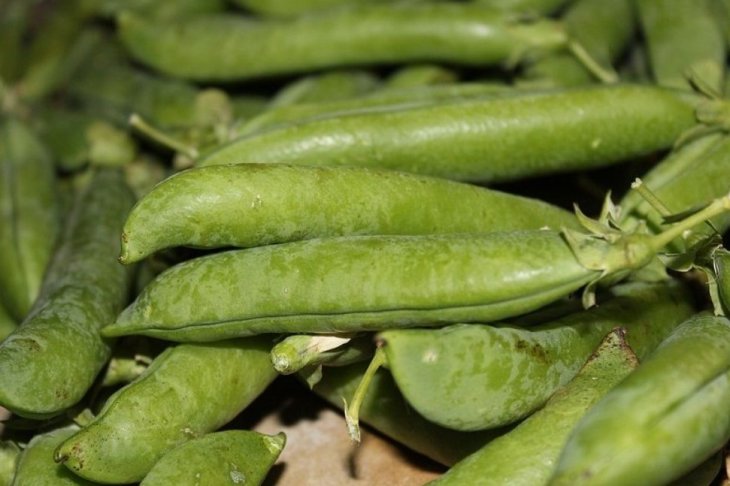 Дієтолог назвала продукт для боротьби зі стресом