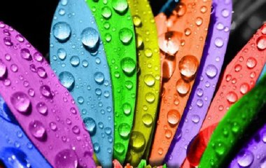 Кожен місяць народження має свій колір та значення: дізнайтеся ваш