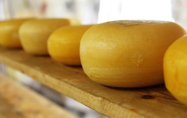 Ось для чого в сир вставляють дивні цифри: ви будете здивовані