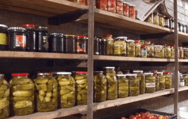 Як зменшити вологість у підвалі чи погребі, позбутися плісняви