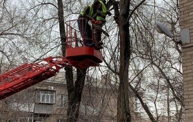 Чи можна забирати залишене комунальниками гілля на дрова: що каже про це закон