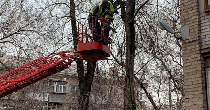 Чи можна забирати залишене комунальниками гілля на дрова: що каже про це закон