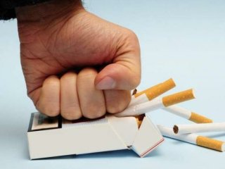 Медики пояснили, який овоч знижує шкідливий вплив цигарок на організм людини