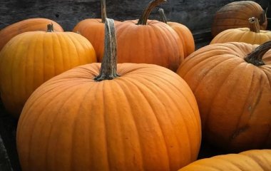 3 недорогі продукти, які врятують вас від підвищеного холестерину
