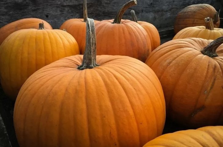 3 недорогі продукти, які врятують вас від підвищеного холестерину