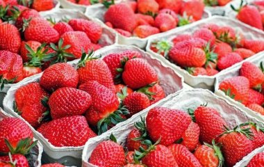 Цвет и плодоножка: как правильно выбирать клубнику