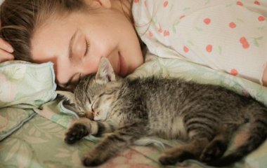Чому кіт лягає спати біля голови: що це означає і чим пояснюється
