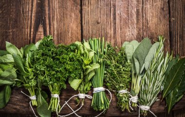 Клад витаминов: как часто нужно употреблять зелень