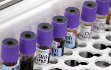 Вчені з Ізраїлю розкрили механізм засипання