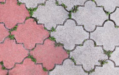 Бур’янів і моху на подвір’ї більше не буде: чим знищити траву між тротуарною плиткою