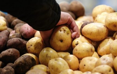 Названо серйозну небезпеку картоплі