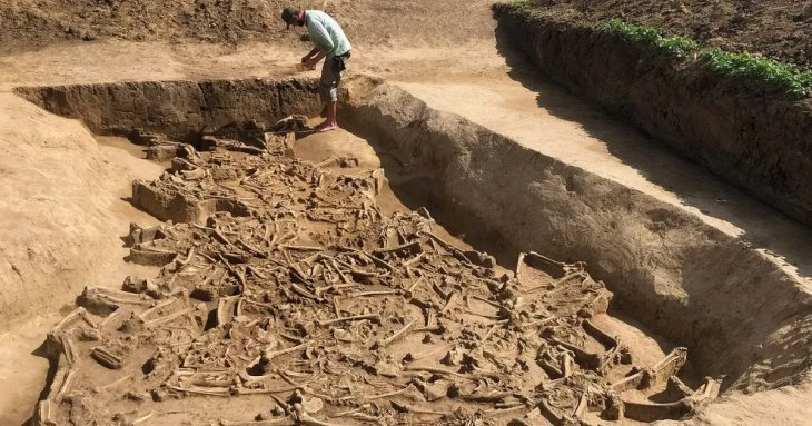 77 скелетів без голів у братській могилі: археологи розкрили моторошну таємницю