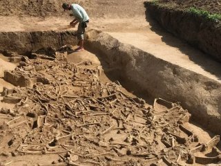 77 скелетів без голів у братській могилі: археологи розкрили моторошну таємницю
