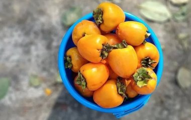 Лікар розповів, кому і чому заборонено їсти хурму
