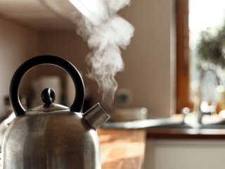 Як очистити чайник від накипу без хімії: у нагоді стануть яблука