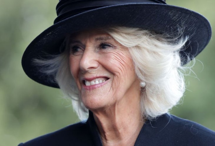 Королева-консорт Камилла надела изящное бархатное платье за 100 долларов